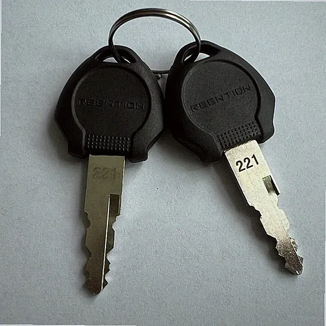 Reention Dorado eBike Battery Lock Key (NOTE: Message us your key number first）