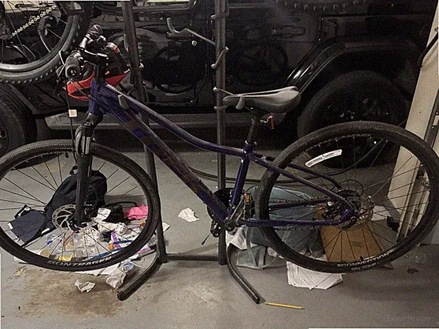 Trek Dual Sport 15in Aluminum 700C Flat Bar Mechanical Disc Bike Purple/Black