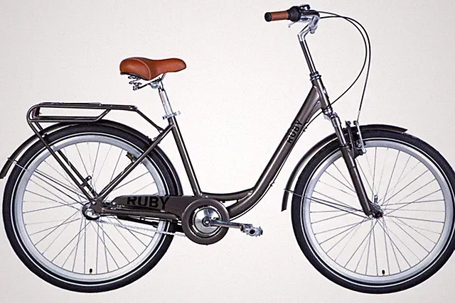 Trekking City Bike Women's 26" Urban Carrier Aluminum Gray RH 43 Cm